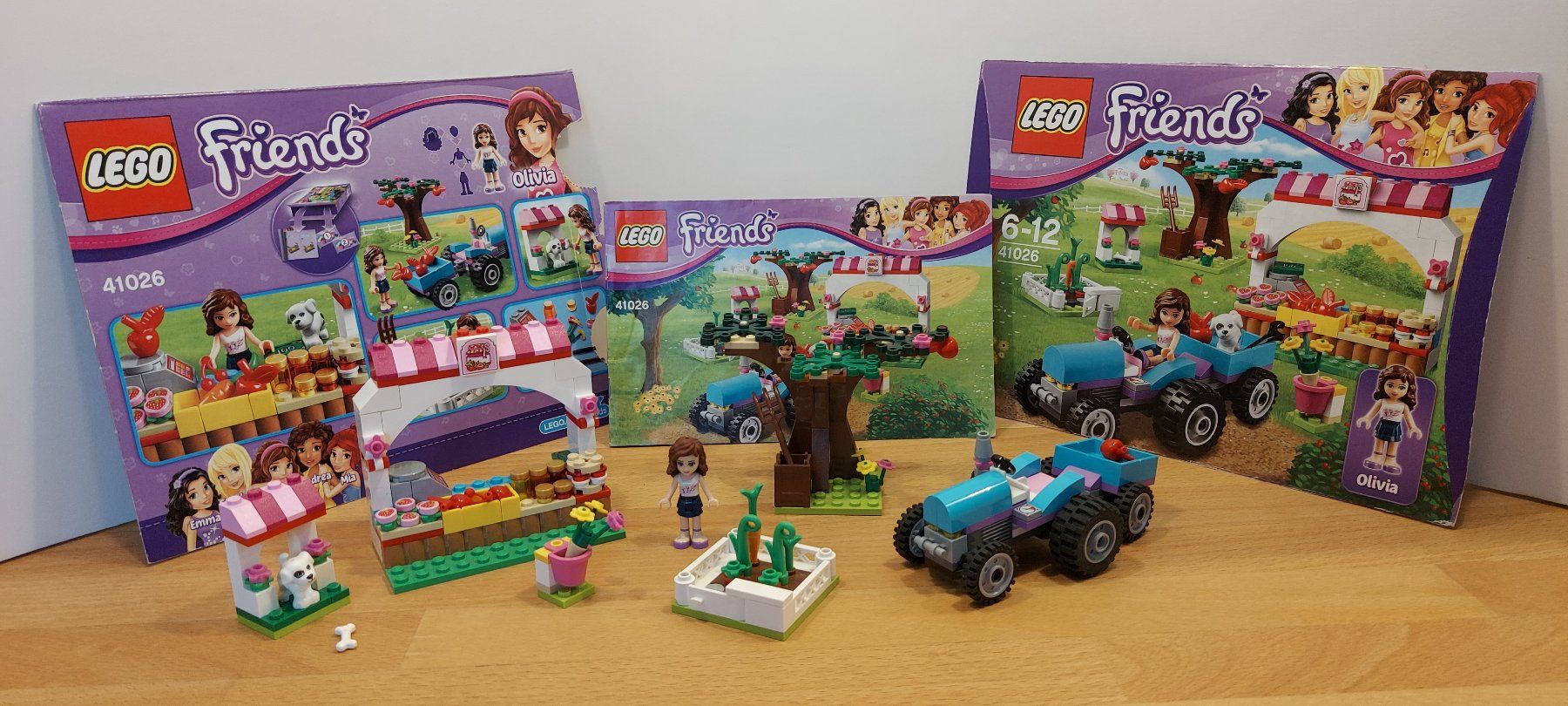 Lego Giocattoli: Lego Friends diverse Sets – Usato da Madetswil venduto da s_l_ss5b 5