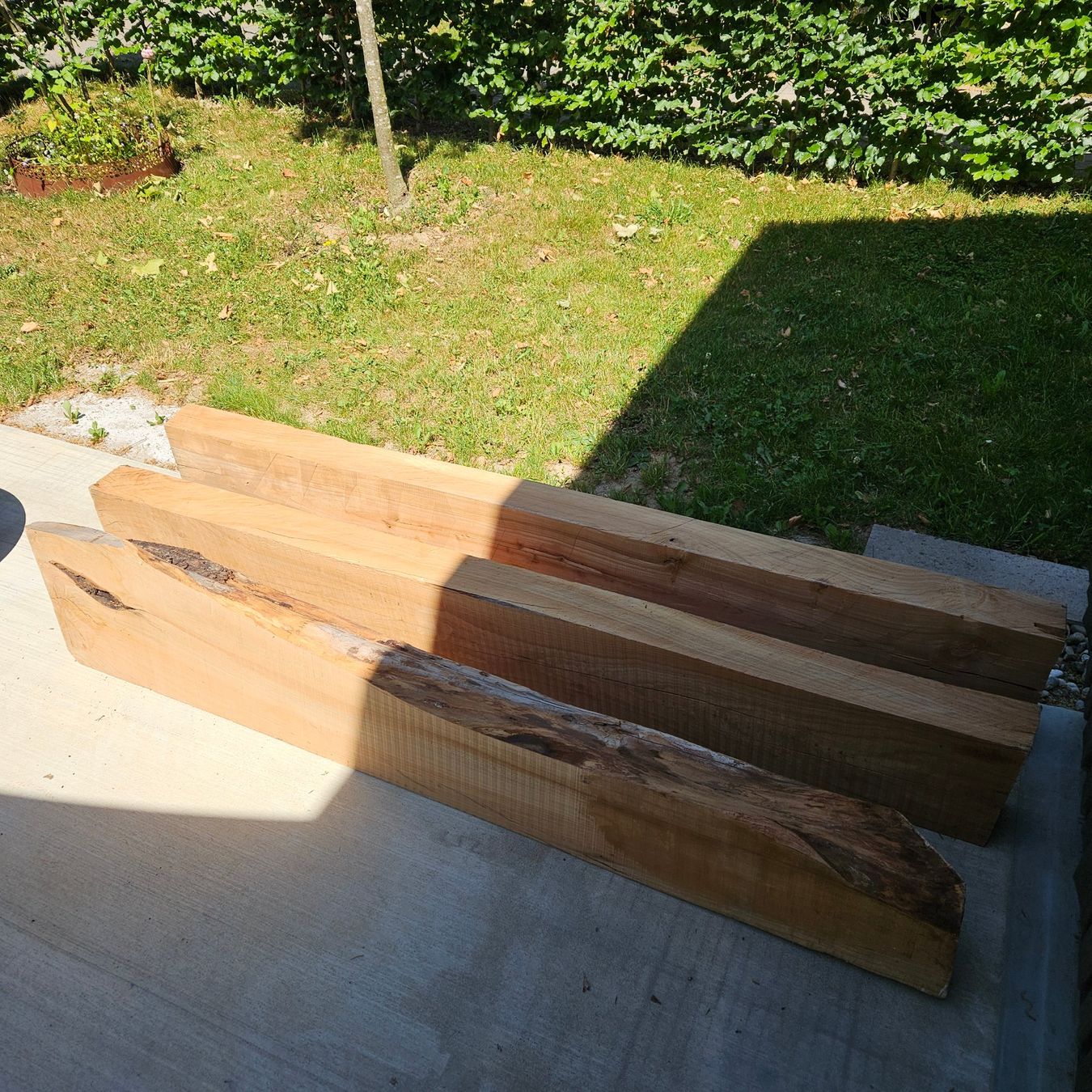 Articoli in legno: 3 Balken Kirsche – Usato da Rafz venduto da Buchwerkstatt 1