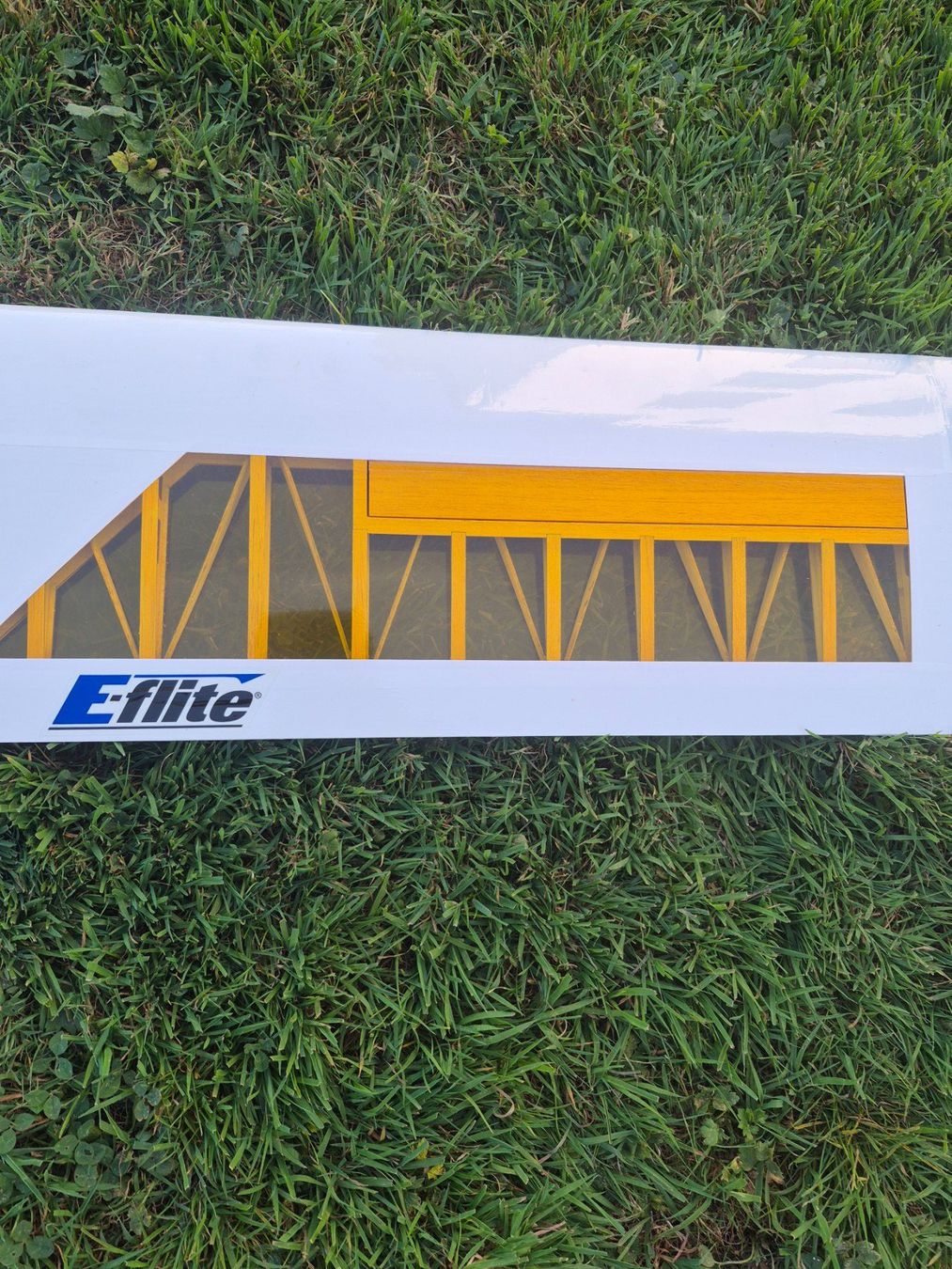 E-Flite RC Modellbau: Mystique 2.9 RES – Gebraucht aus Oberriet SG von eri_h879 6