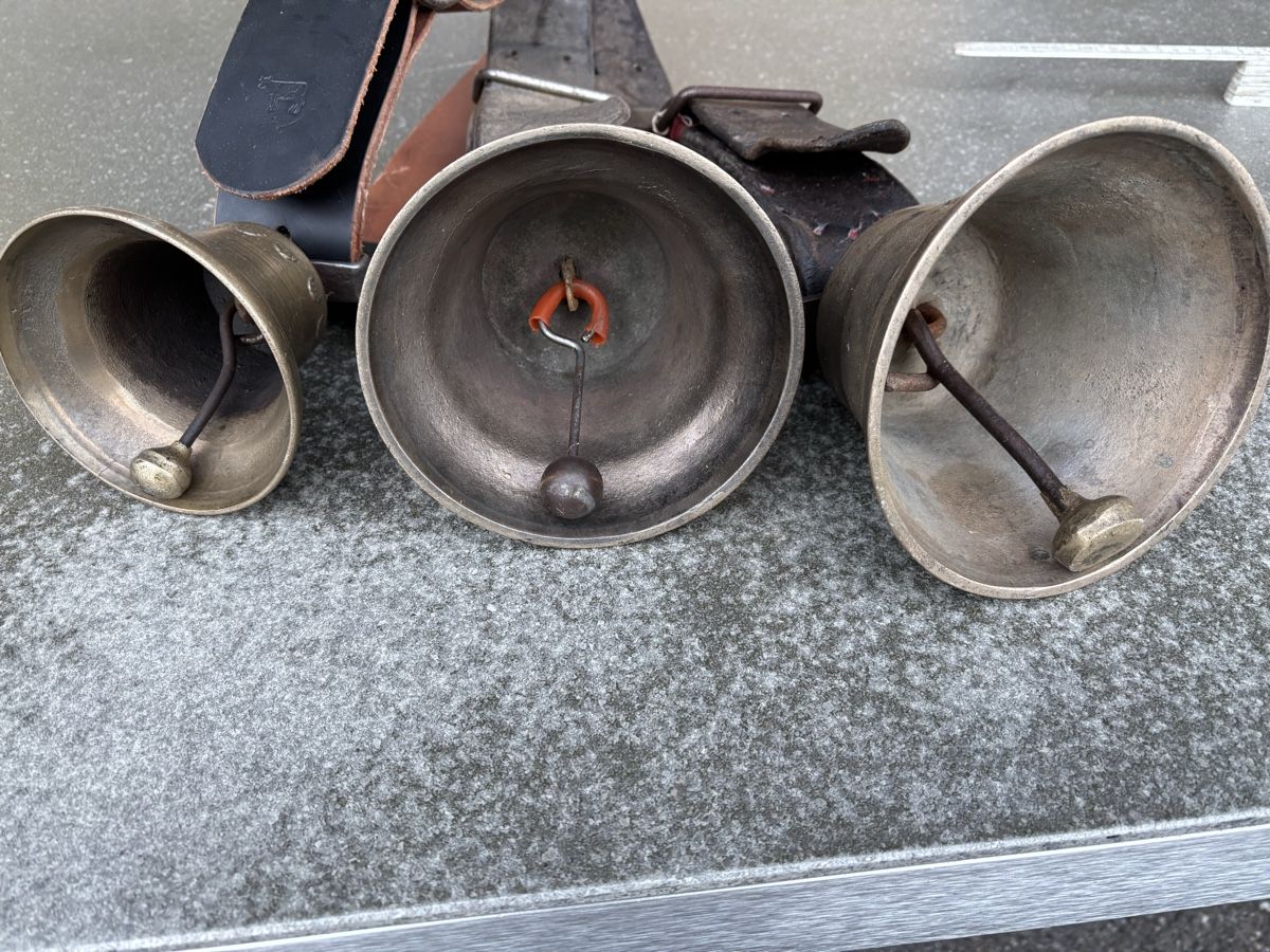 Campanacci mucche: 3 Wedeglöggli – Usato da Schangnau venduto da Roseggli82 4