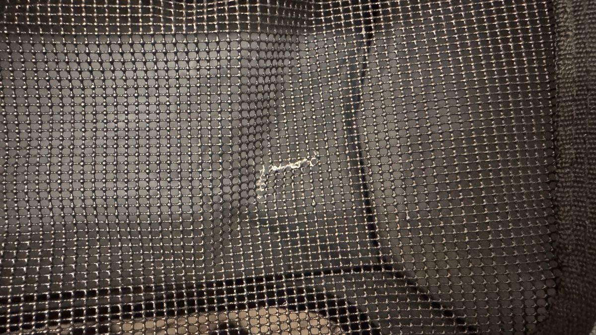 Cucce & Letti: Transportbox für Hunde oder Katzen, Freezack – Usato da Neuhaus SG venduto da NicKi333 3