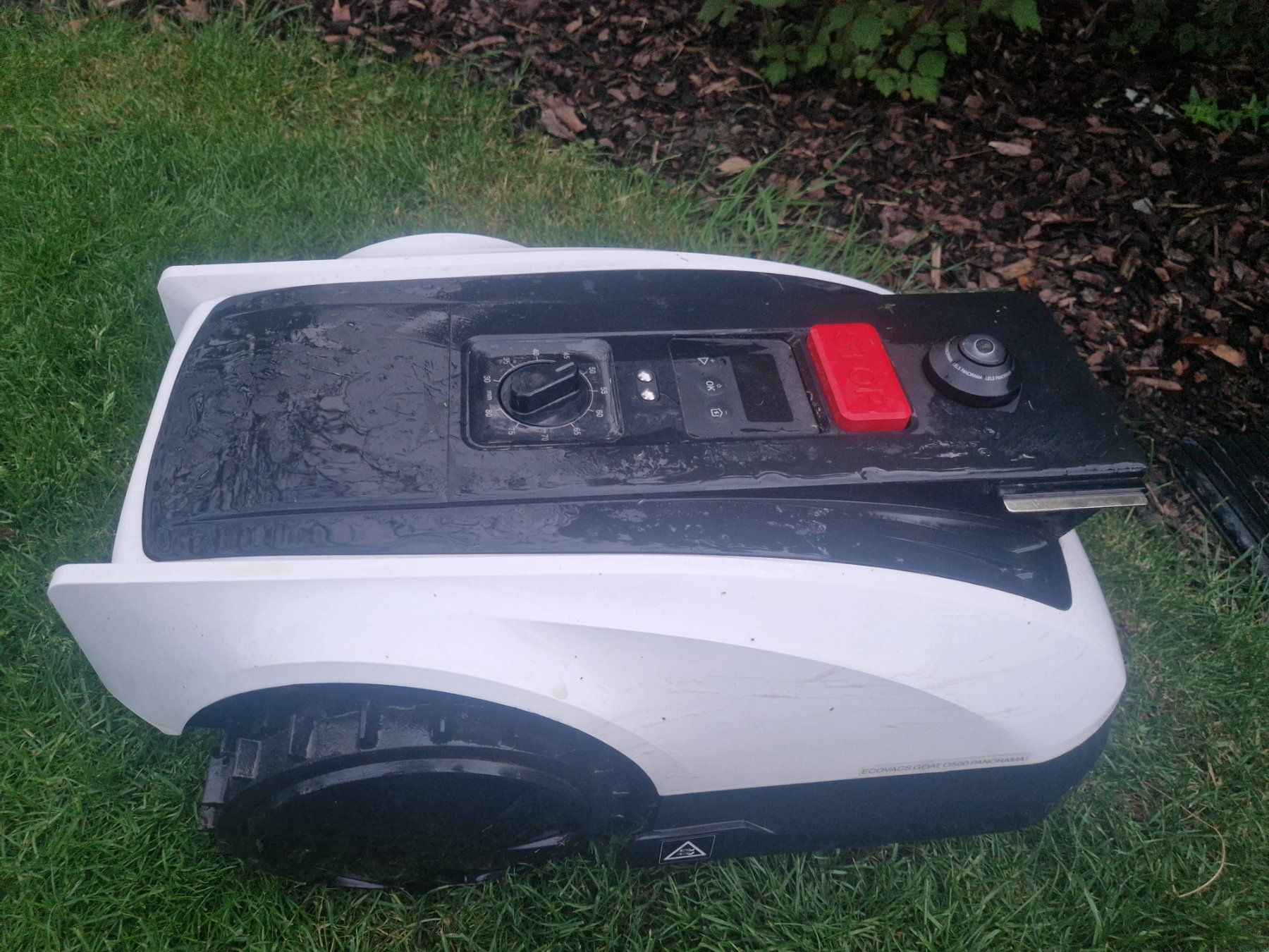 Ecovacs Tagliaerba: Ecovacs goat O500 panorama mit 1 Jahr Garantie – Usato da Grabs venduto da holjir 1