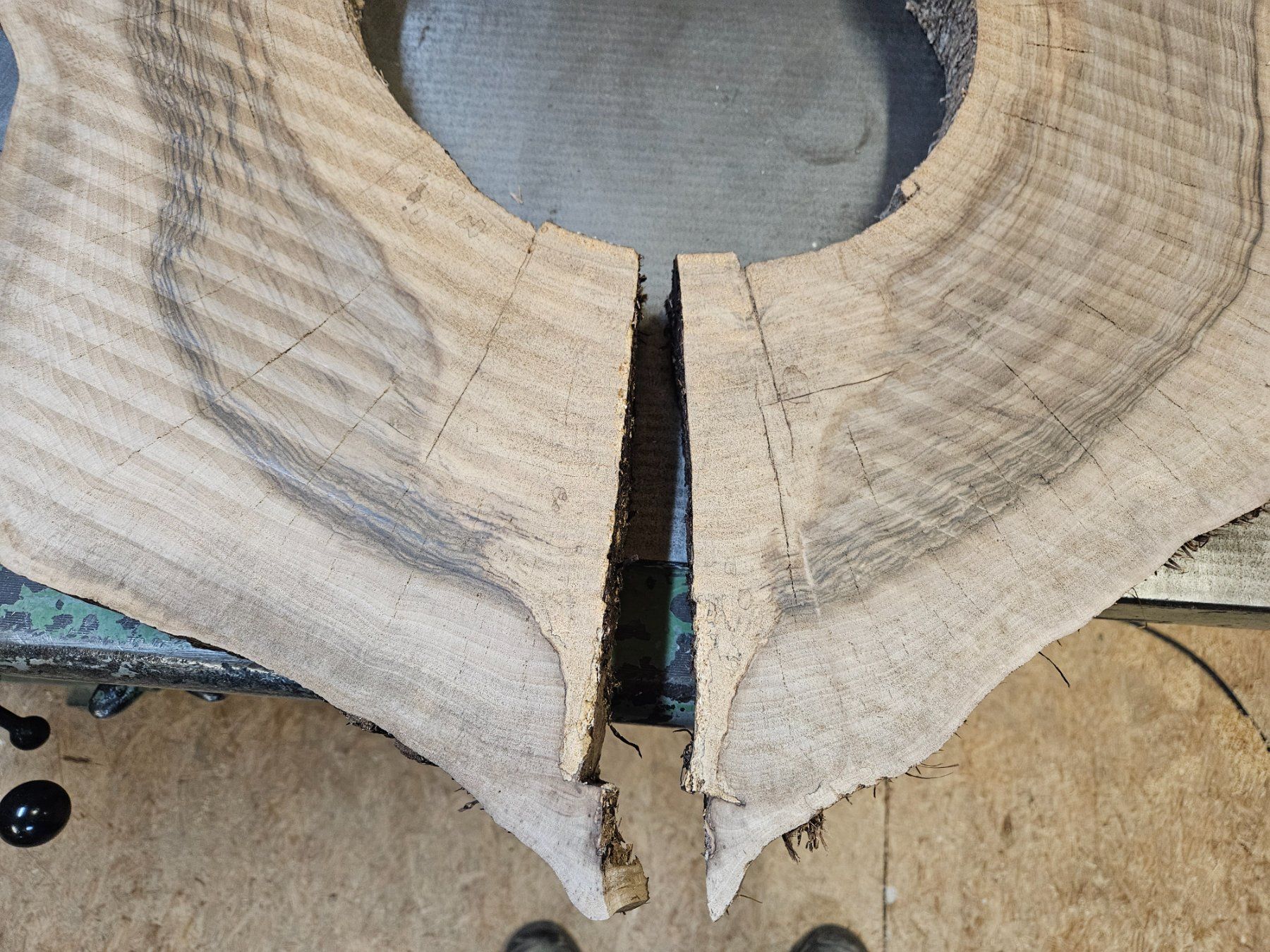Articoli in legno: Nussbaum Holz Baumscheibe – Nuovo (secondo la descrizione) da Schangnau venduto da egli6.2 3