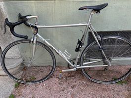 Retro Rennrad Bauer (28 Zoll; Rahmen 54)