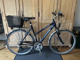 Grosses Damen City Fahrrad 