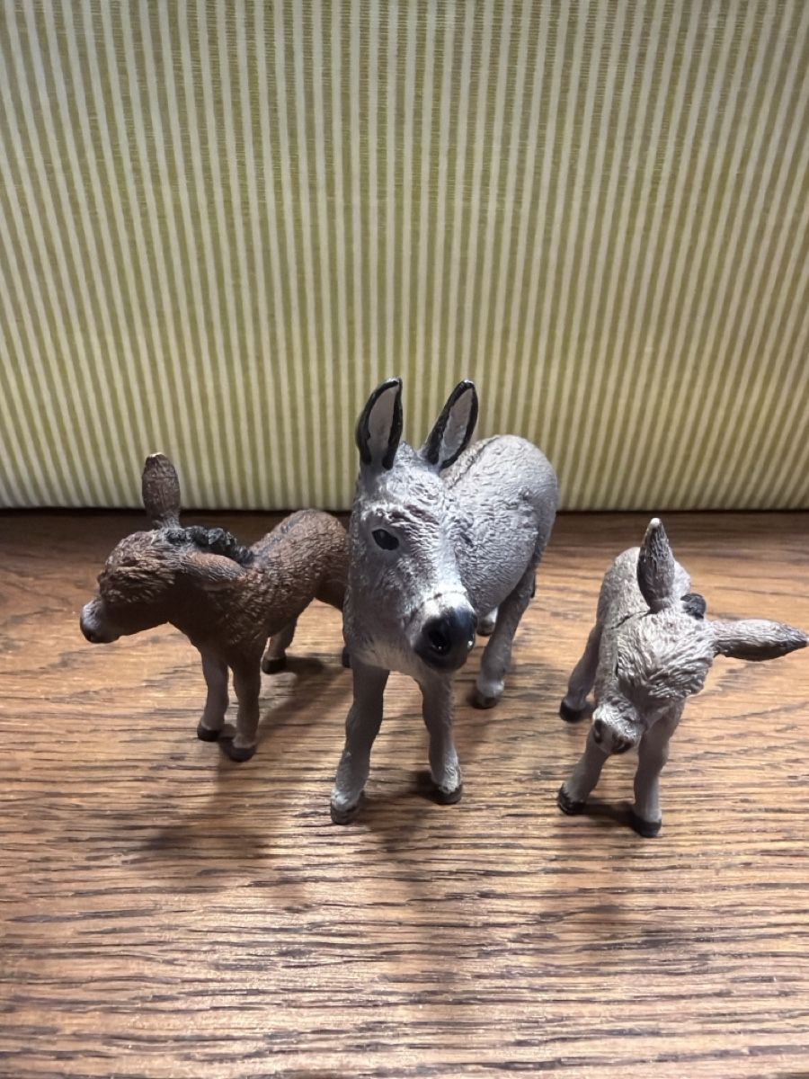 Schleich Giocattoli: Schleich Esel Set – Usato da Auw venduto da grisu81