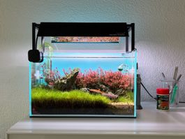 Premium Nano Aquarium komplett | WRGB LED | OASE | CO2