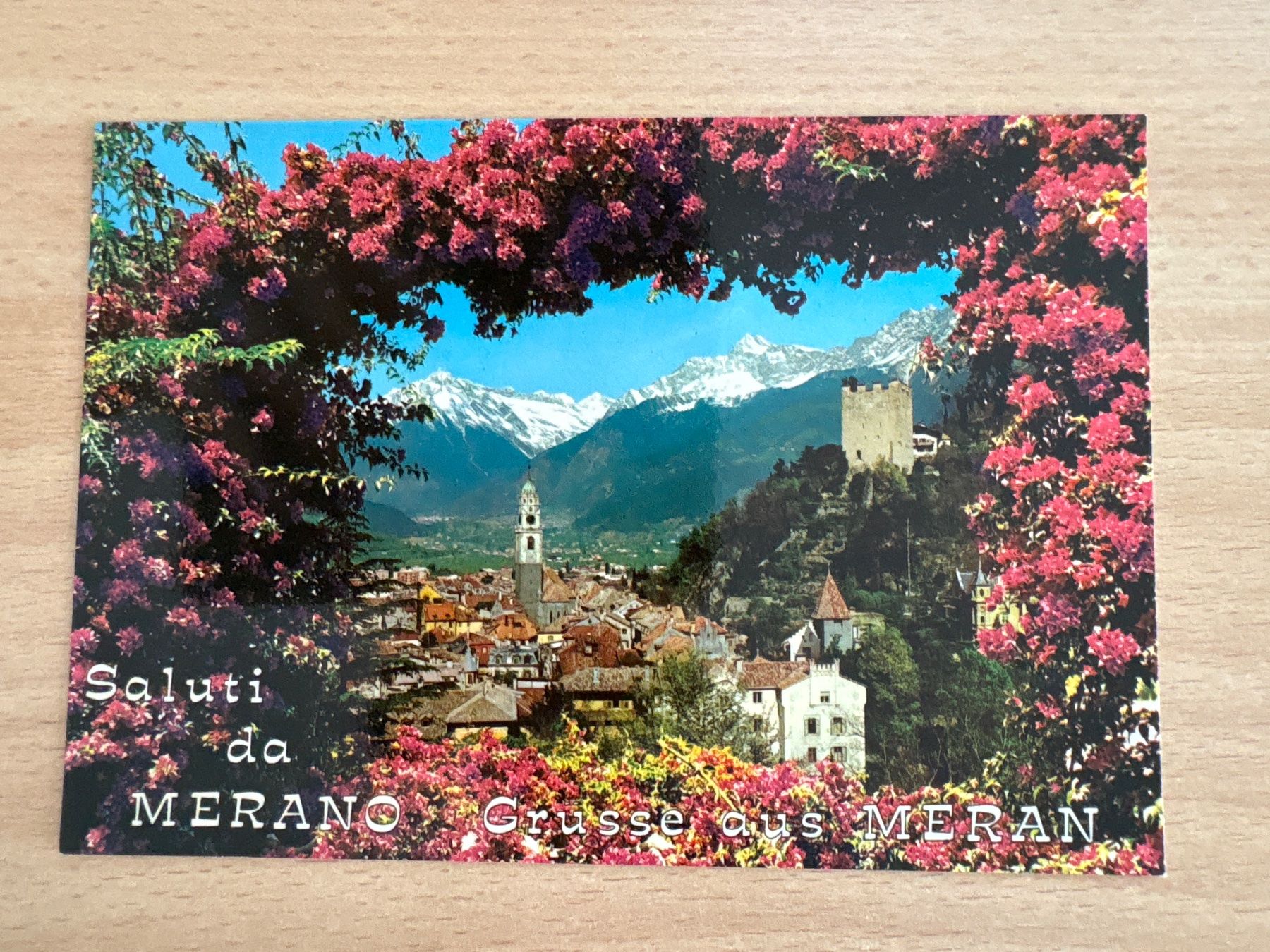 Cartes postales: Ansichtskarte Meran Panorama – D'occasion à Ibach par lisch3