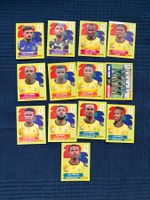 13 Panini Sammelbilder von Südafrika