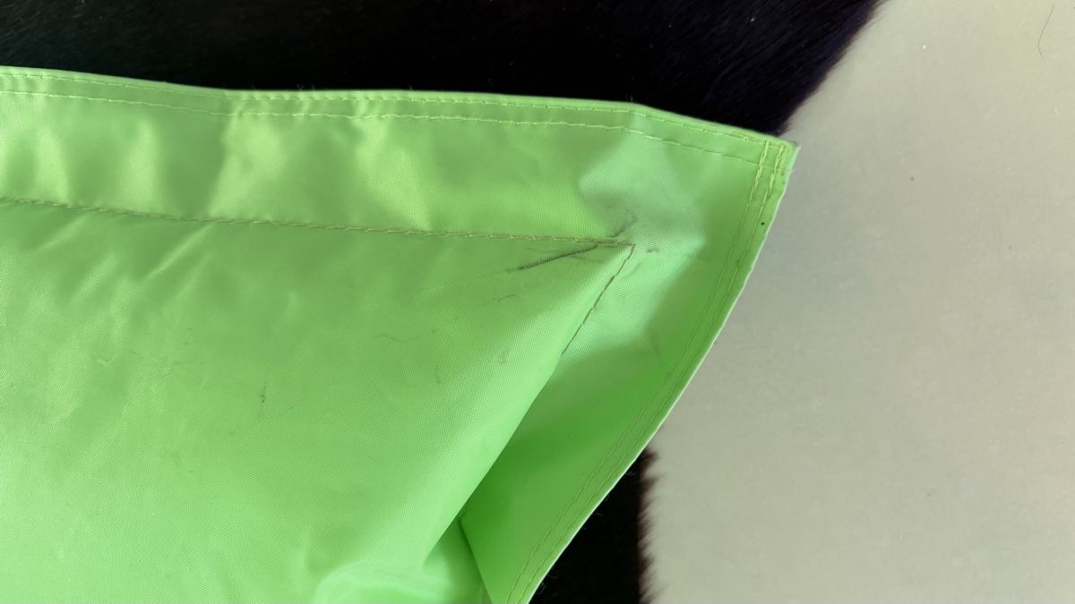 Fatboy Cuscini: fatboy Sitzsack grün – Usato da Kirchberg BE venduto da pimposchinder 7