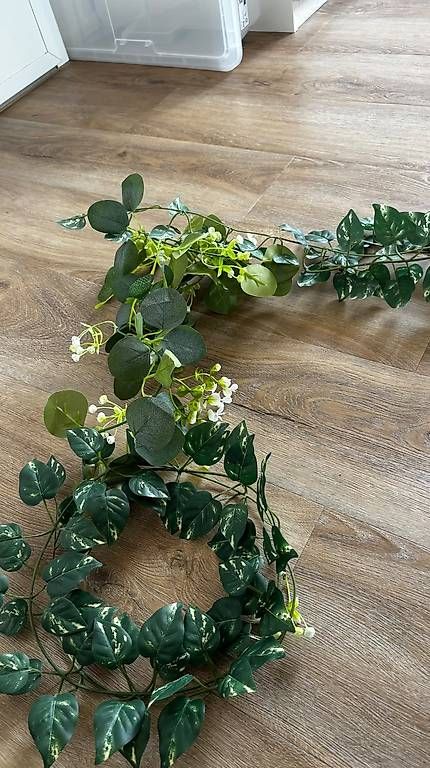 Tutte le decorazioni: Hochzeit Deko – Usato da Dietikon venduto da cimitheviking 1