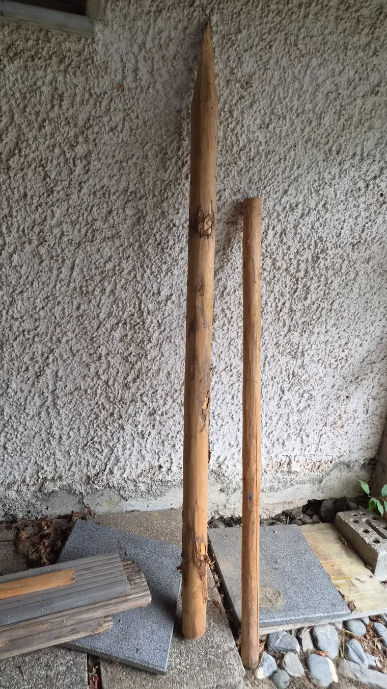 Articoli in legno: Holzpfahl – Usato da Bischofszell venduto da -fr-5