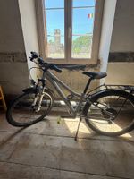 Fahrrad 1
