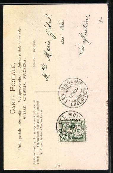 Cartoline postali: Vaudoise, Trachtenmädchen mit Blumenkor – Usato da Berlin venduto da bartko-reher 1