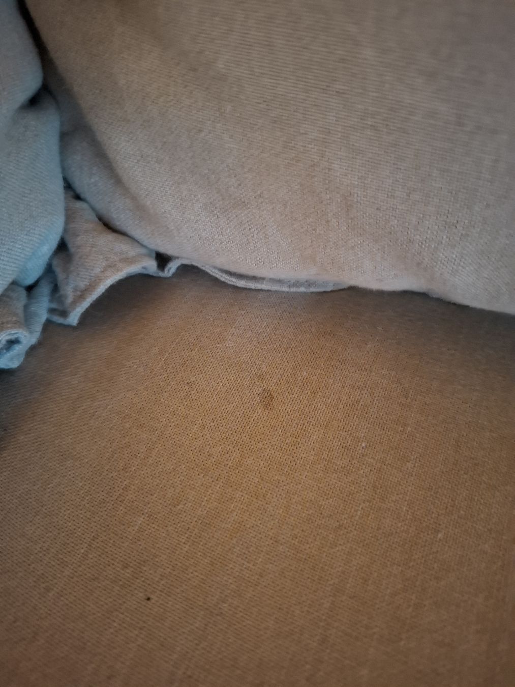 Maisons du monde Sofas: Sofa – D'occasion à Oberembrach par Timitami123 3