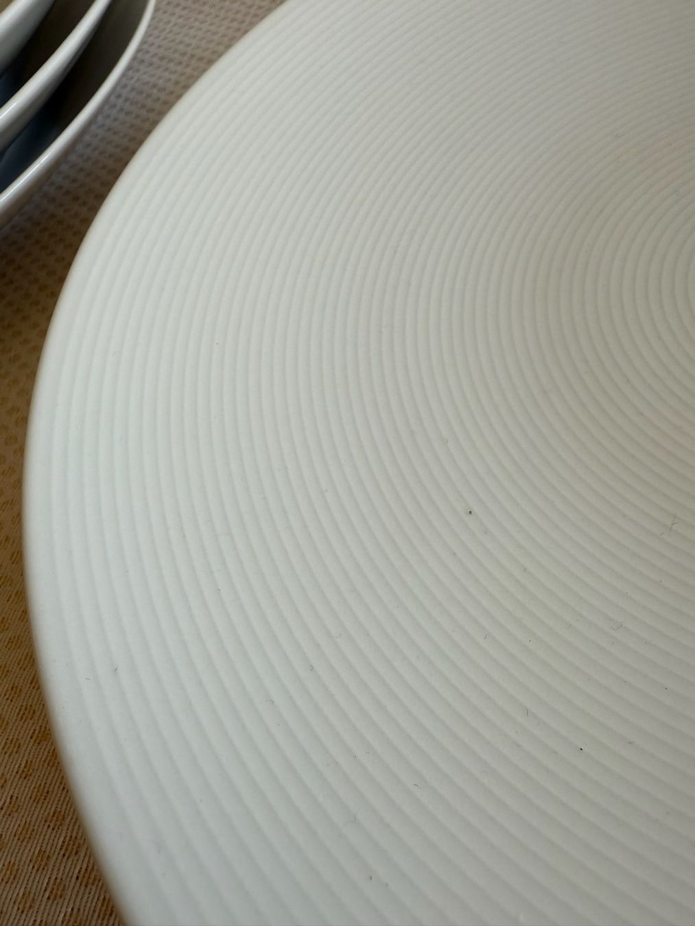 Thomas Piatti: Rosenthal - Thomas Trend - assiettes pasta - 28cm – Usato da Sion venduto da accroshoes 4