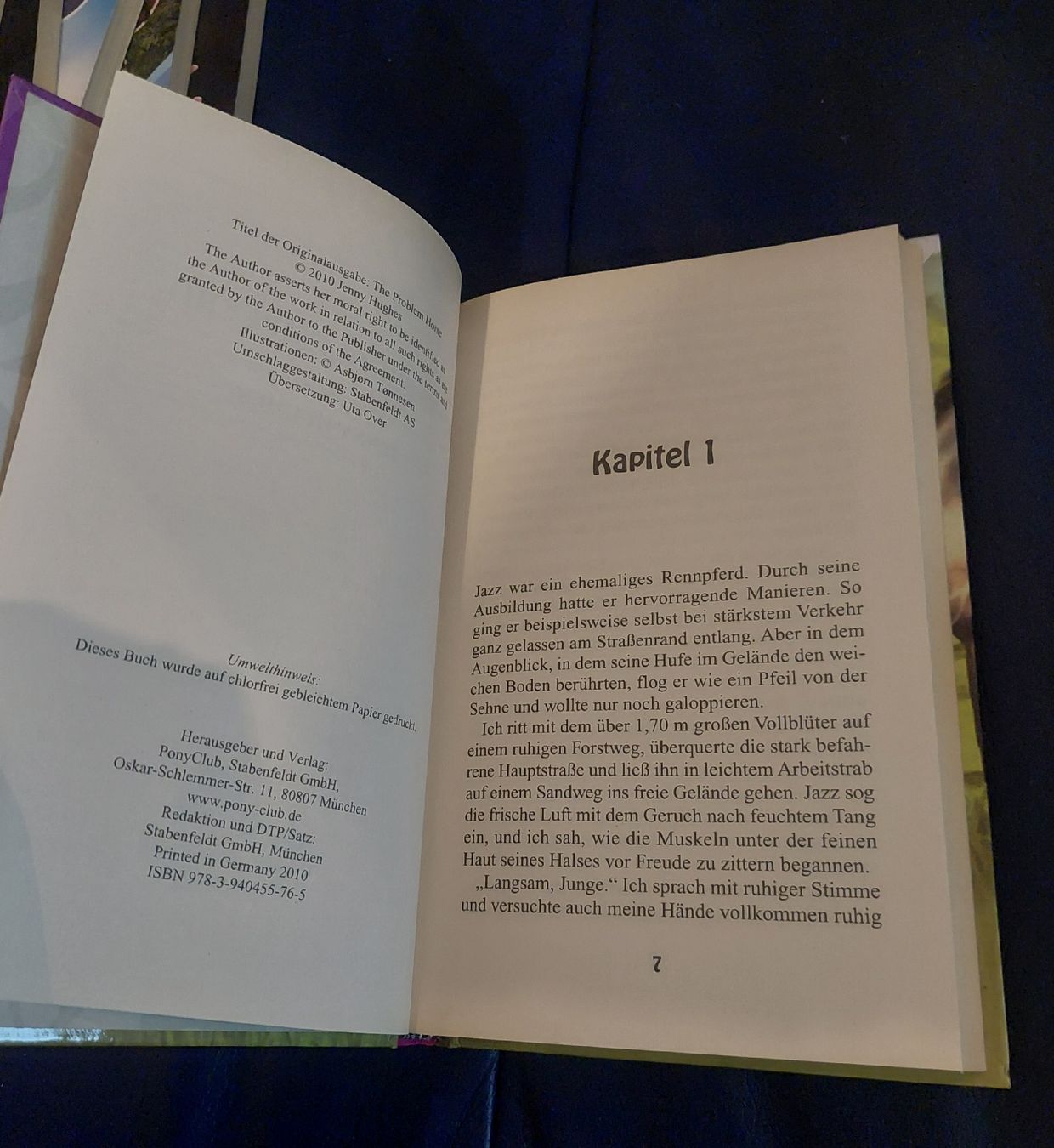 Livres: Buch Das Problempferd Jenny Hughes – D'occasion à Belp par masterdriftking 2