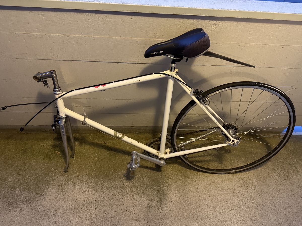 Velos: Rennrad Rahmen weiss  gebraucht – Gebraucht aus Zürich von fresh0001