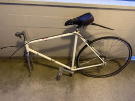 Rennrad Rahmen weiss  gebraucht