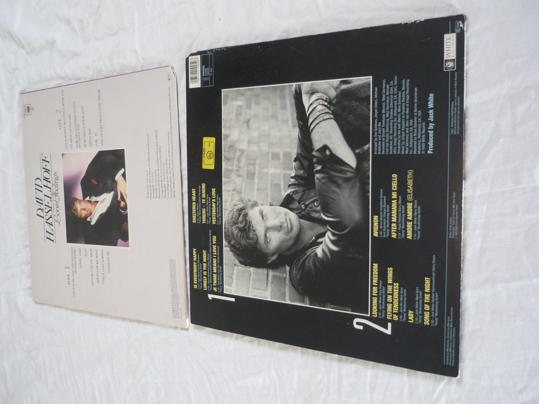 Schallplatten: 2x Vinyl - David Hasselhoff + looking for freedom + Poster – Gebraucht aus Beringen von Flatretriever 1