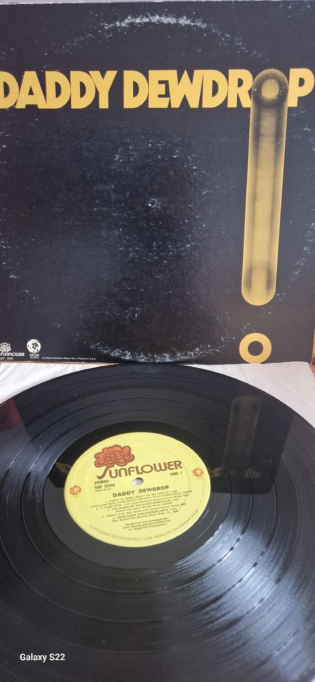 Dischi in vinile: Daddy Dewdrop – Daddy Dewdrop – Usato da Yvonand venduto da RF-VINYL