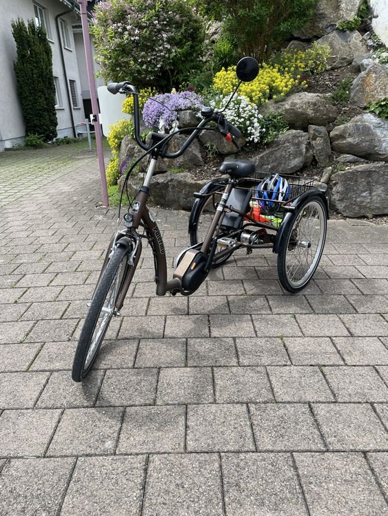 Dreirad E Bike Gebraucht