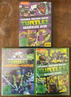 Teenage Mutant Ninja Turtles (DVD)