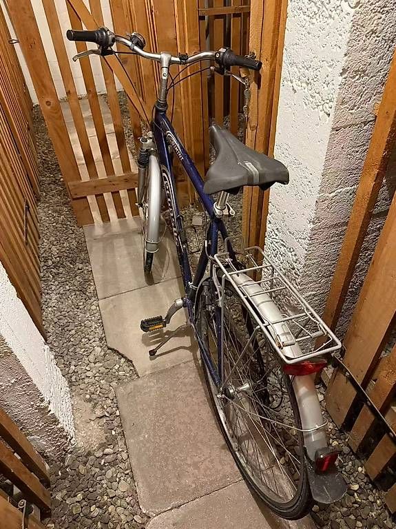 Biciclette: Pegasus bicycle – Usato da Zürich venduto da llr_2m9v