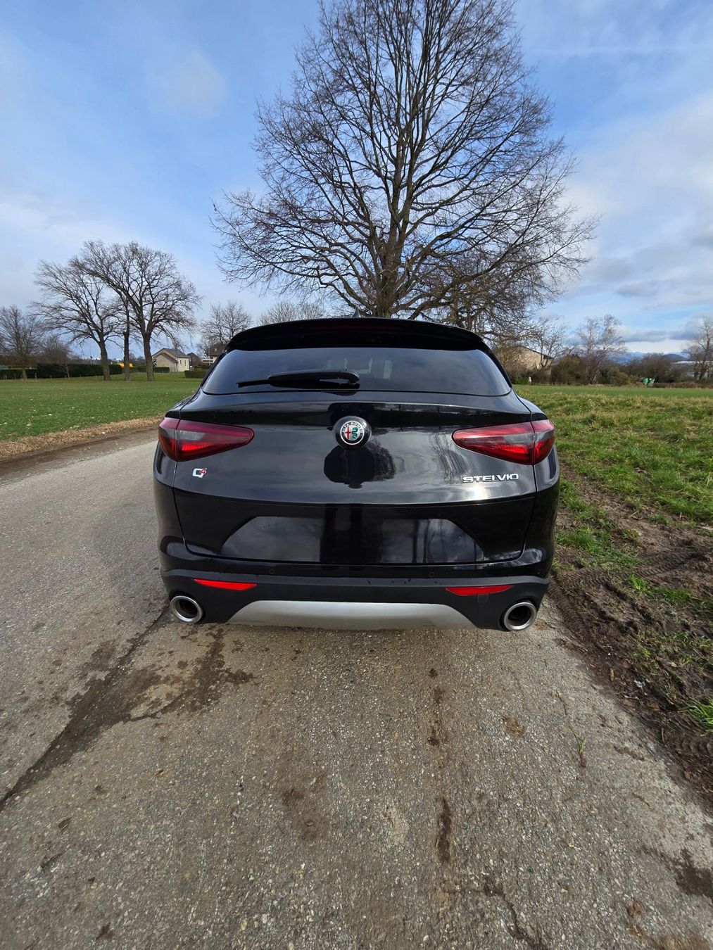 Alfa Romeo Automobili: Magnifique Stelvio – Usato da Thônex venduto da max_fc7r 2