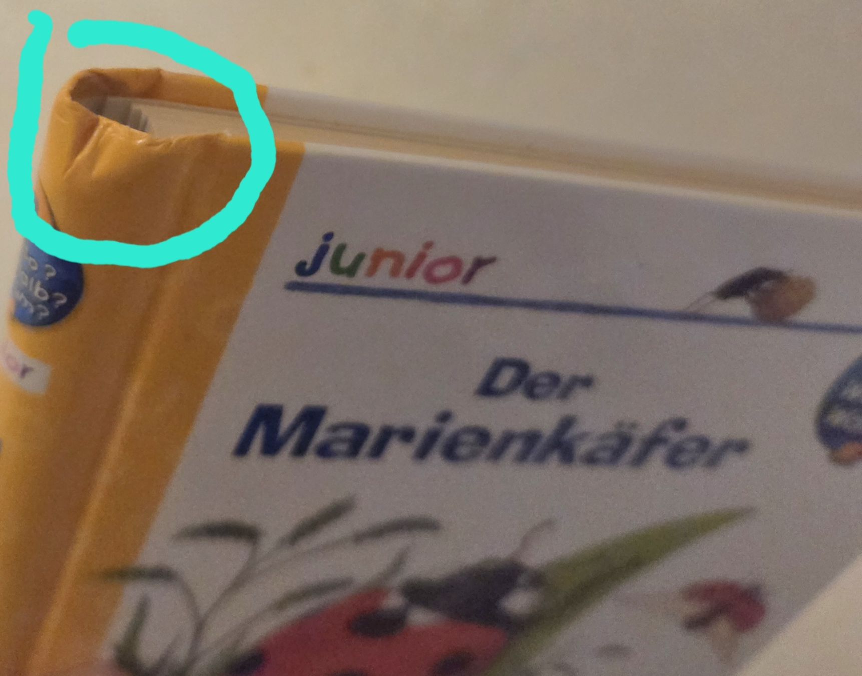 Bücher: Wieso Weshalb Warum Der Marienkäfer Buch – Gebraucht aus Wetzikon ZH von strubeli444 3