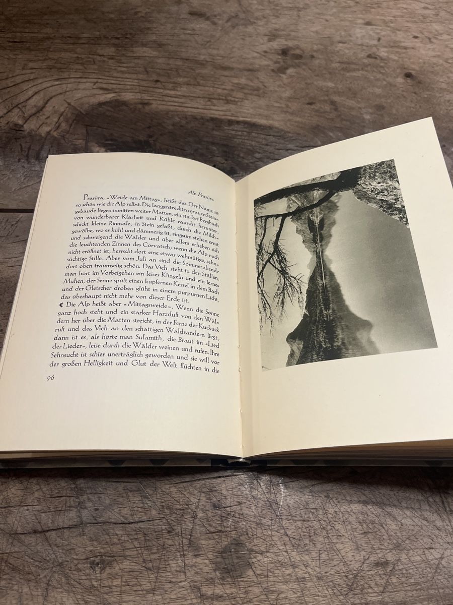 Libri: Lippert, Aus dem Engadin – Usato da Zuoz venduto da Grr1974 4