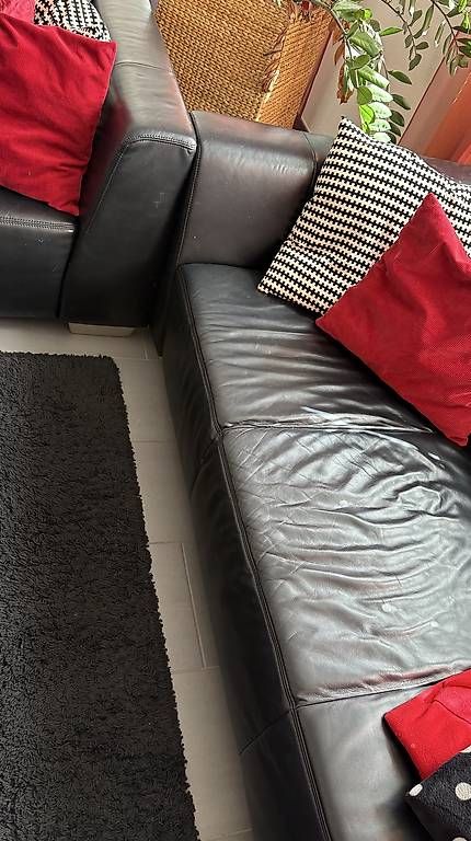 Divani: Ledersofa Doppelteilig – Usato da Winterthur venduto da Lucoelen 4