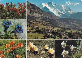 Wengen Sommer-und Winterkurort BE