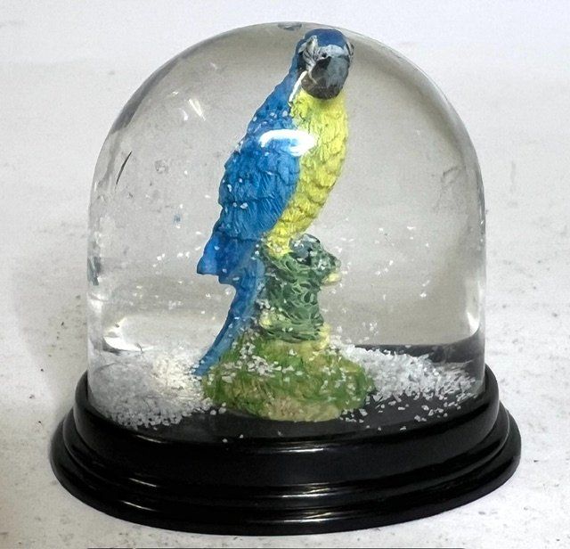 Tutte le decorazioni: Schneekugel mit Ara Papagei – Usato da Zürich venduto da gigimai67