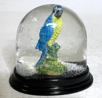 Schneekugel mit Ara Papagei