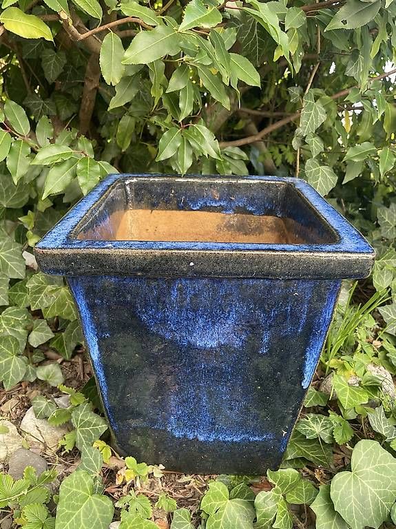 Blumentöpfe: Blauer, frostfester Tontopf – Gebraucht aus Aeugst am Albis von mia_7p89