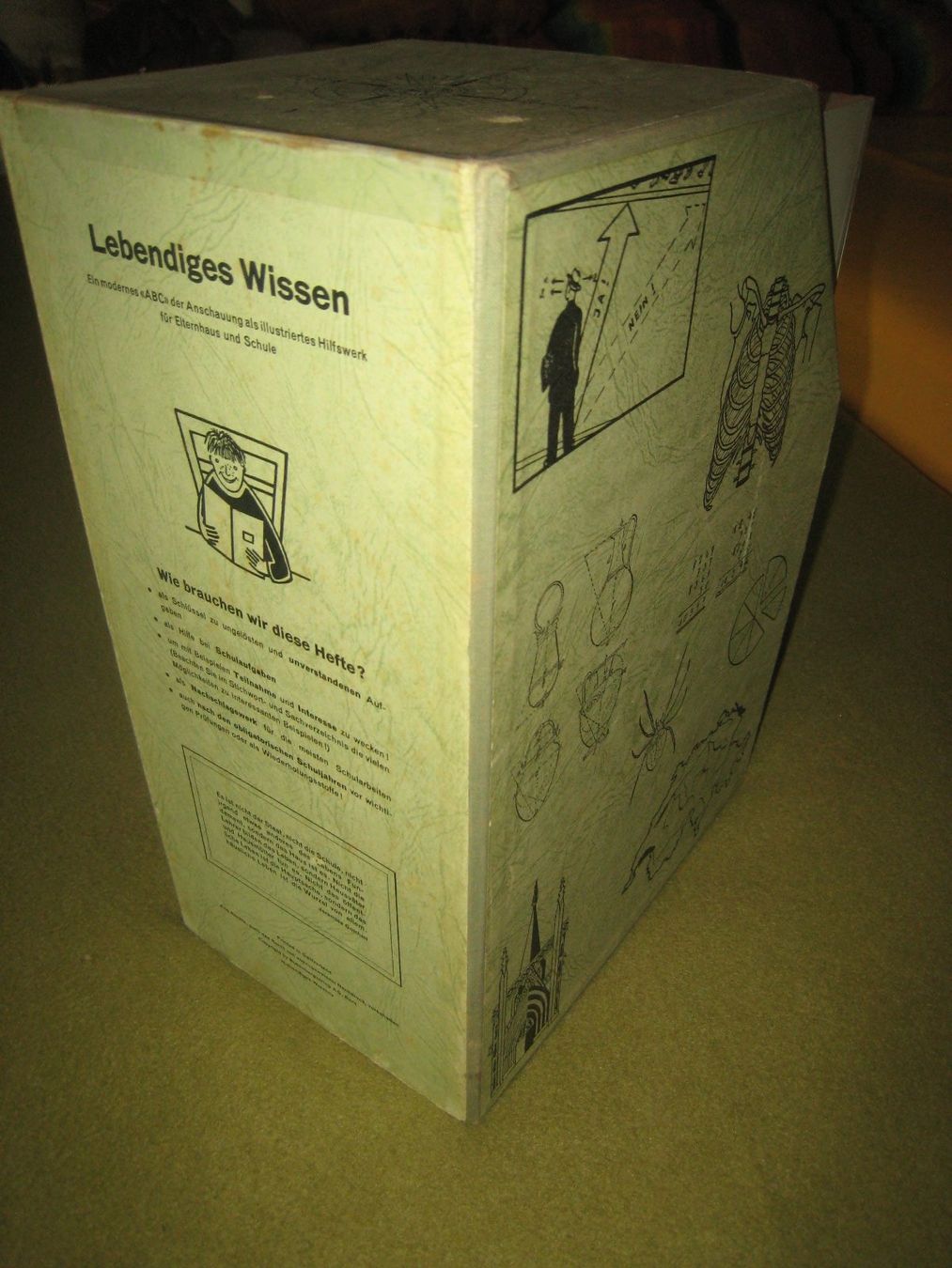 Libri: Sammlung Lebendiges Wissen – Usato da Lohn-Ammannsegg venduto da elch_55