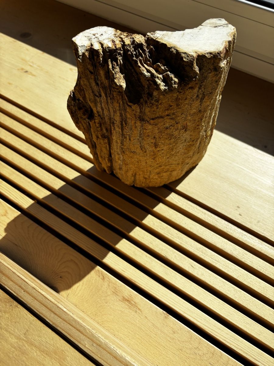 Skulpturen & Statuen: Handgeschnitzte Eule versteinertes Holz, ca. 20cm – Neu (gemäss Beschreibung) aus Jenaz von AlphaWolf74 4