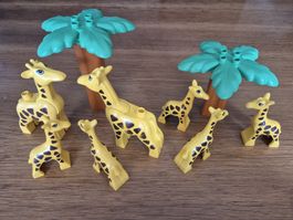 Duplo Set Giraffen (Y321)