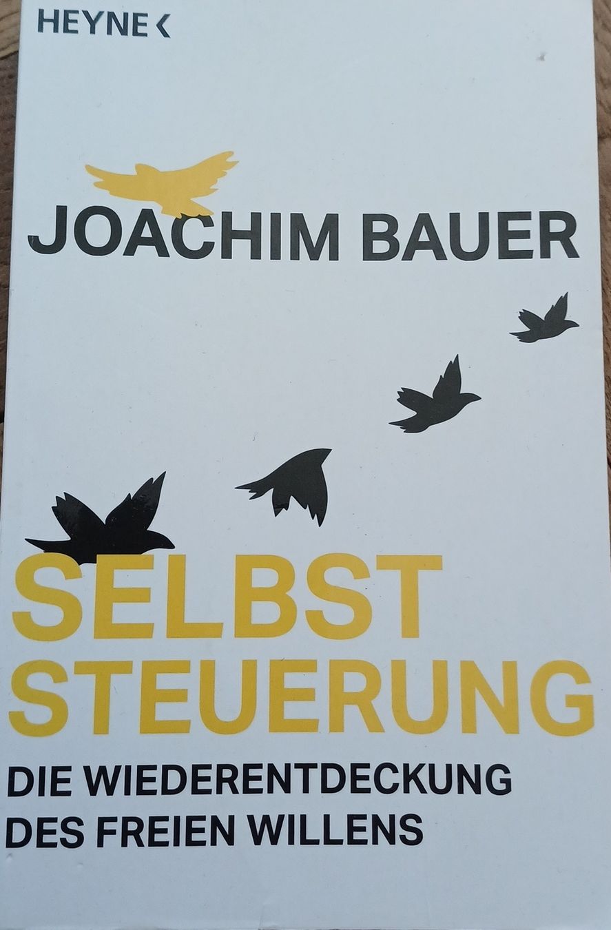Libri: Joachim Bauer Selbststeuerung  – Nuovo (secondo la descrizione) da Bern venduto da rikivip