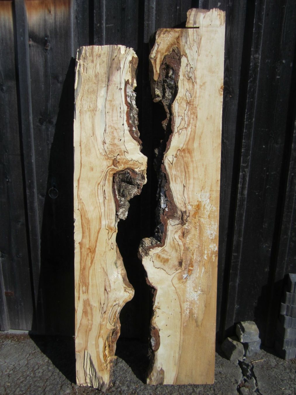 Articoli in legno: Holz für Epoxy Tischplatte – Nuovo (secondo la descrizione) da Nesslau venduto da Jakobi01