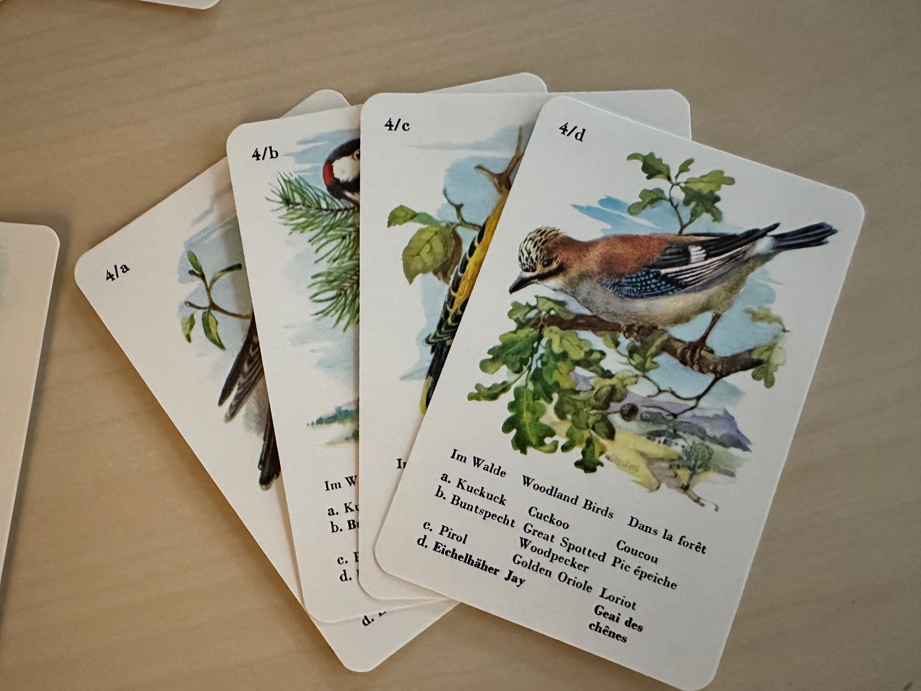 Giochi: Quartett Heimische Vogelwelt – Usato da Bülach venduto da Jubet 3