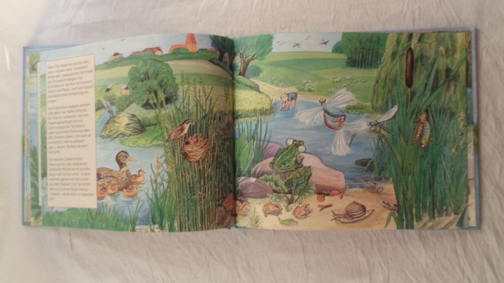 Tiere im und am Teich / Tümpelkinder / SachBilderbuch Kaufen auf Ricardo