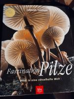 Faszination Pilze: Blick in eine rätselhafte Welt   von Feli
