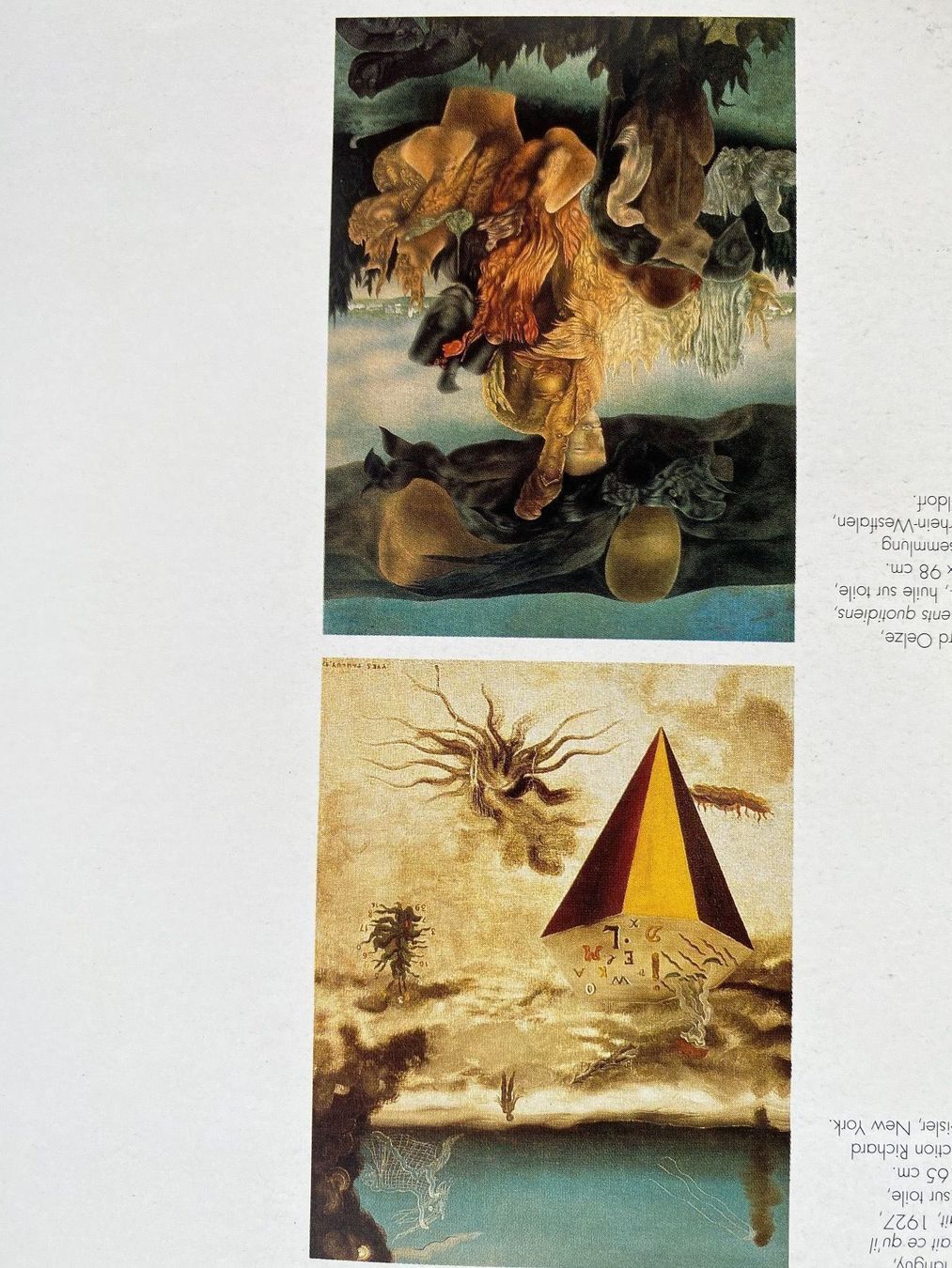 Bücher: LE SURREALISM - Centre Pompidou - Dada - Dali - Magritte – Gebraucht aus Zürich von lesgarcons 2