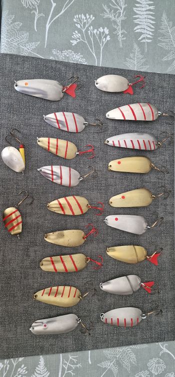 VOSSOT Blinker Angelköder Set 25-teilig - 20g Silber Blinker Für Raubfischangeln Auf Zander & Forelle