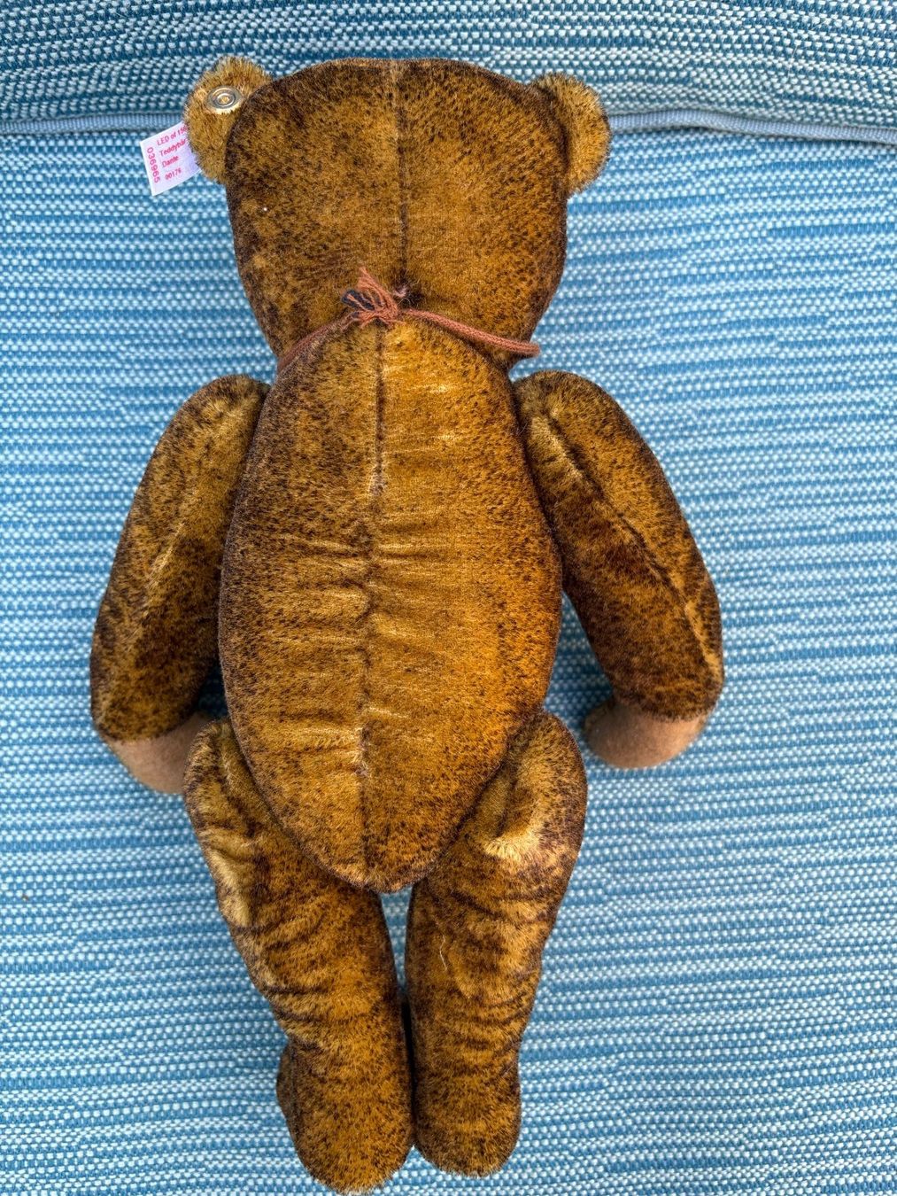 Steiff Spielzeuge: Steiff Teddy Dante Limited Edition – Gebraucht aus Winterthur von reg_ld2g 5