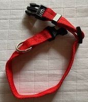 Hundehalsband