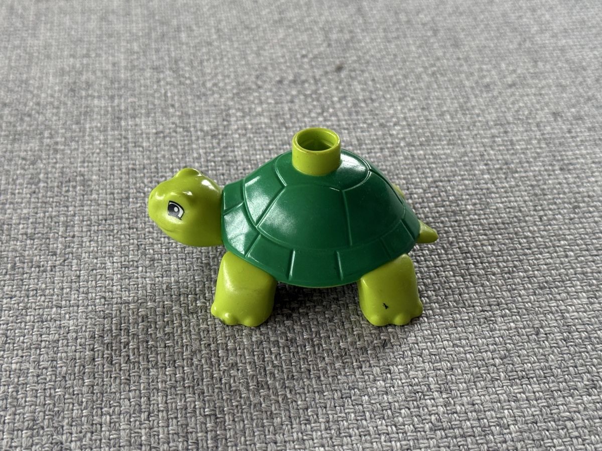 Lego Statuette: LEGO Duplo Schildkröte Tiere – Usato da Ennetbaden venduto da teo_yg9s