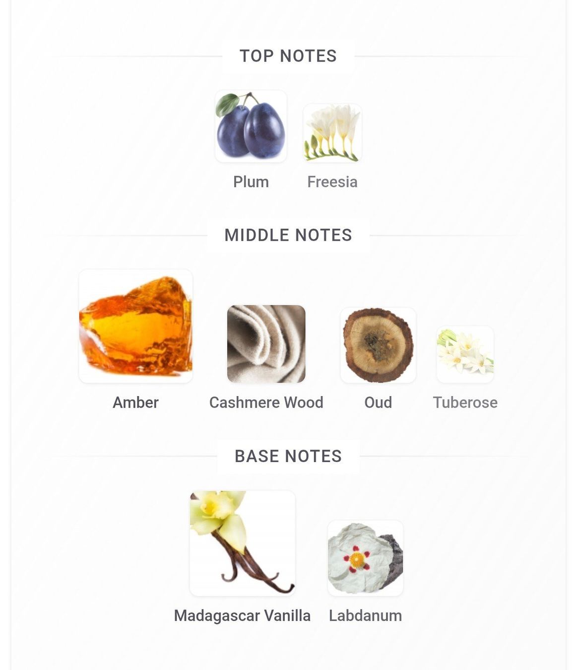 Byredo Profumi & Eau de Toilette: 2ml Byredo Vanille Antique extrait sample Probe niche – Nuovo (secondo la descrizione) da Steinhausen venduto da nwe_t8nj 3